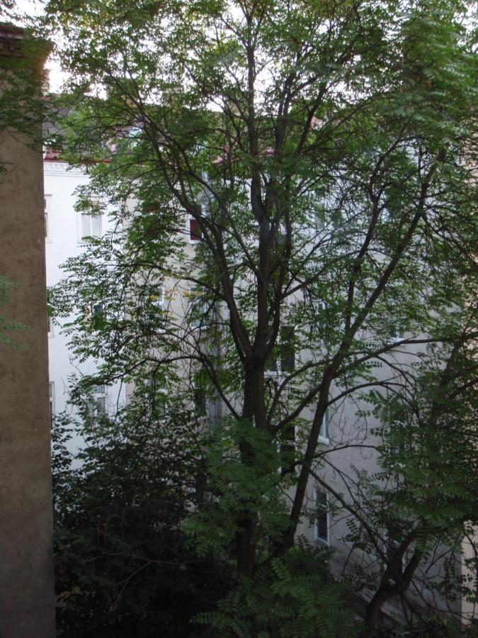 דירות וינה Augartenblick Penthaus 16 מראה חיצוני תמונה