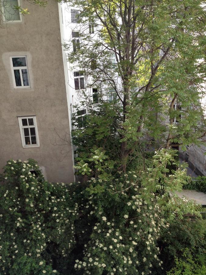 דירות וינה Augartenblick Penthaus 16 מראה חיצוני תמונה